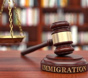 تفاوت وکیل مهاجرت و مشاور مهاجرت