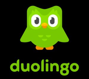 آزمون زبان دولینگو