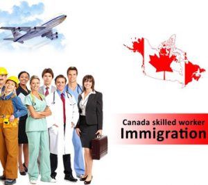 وکیل مهاجرت کاری کانادا