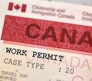ویزای کار کانادا