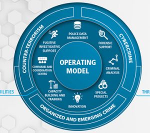 وظایف اینترپل
